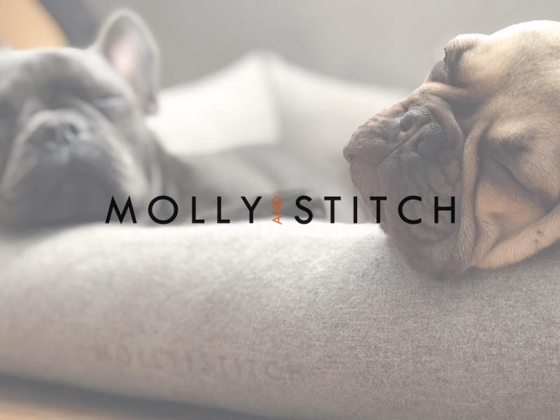 An interview with Molly & Stitch - Luxury Dog Beds and Dog Accessories –  Aurora Pets - Designer apparel and luxury accessories for dogs